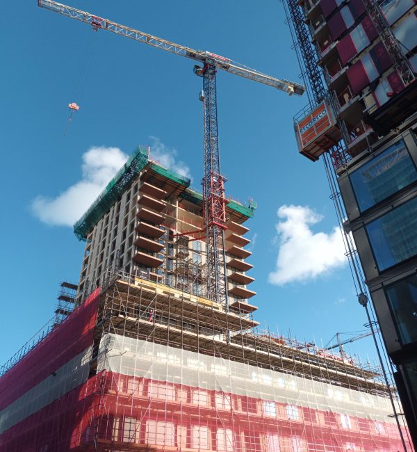 Acta Group (6)